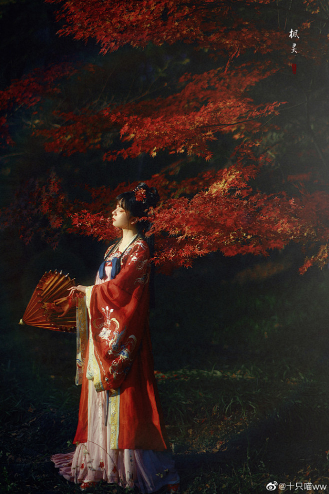 #十喵的客片哦# 

“相思枫叶丹。”
...