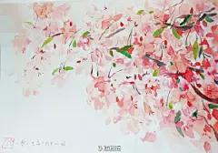 #每日手绘插画# 水彩花卉——插画师：冉小隐 ​