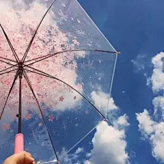 美好的事物，好看，小清新壁纸