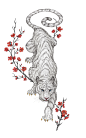 Art for DOKUCHAEVA brand