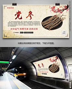 中草药党参海报灯箱展板展架挂画