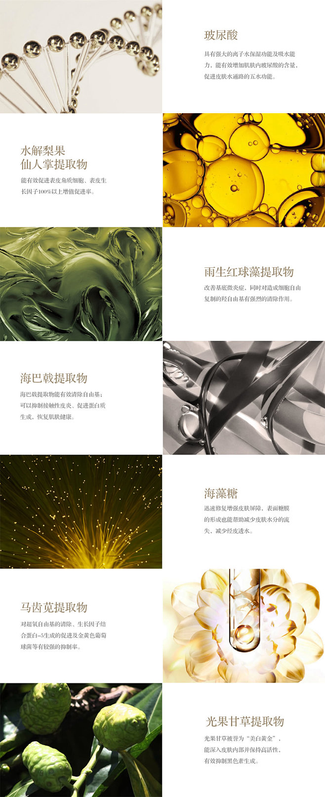 奢华科技-广州澳美化妆品有限公司