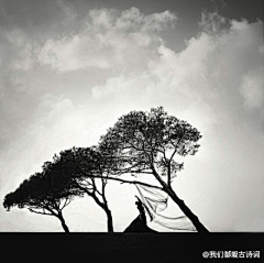 重重复重重采集到文字