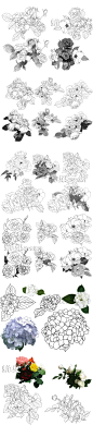 088 各式花卉花朵叶子线稿上色稿手稿集 漫画CG插画手绘设计素材-淘宝网