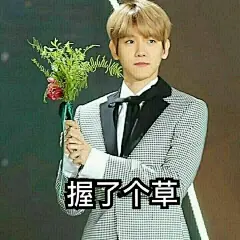 EXO表情包