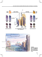 日本绘画大师铃木辉实的水彩画配色心得：“让水彩画达到极致的调色技法”9种颜色的配色调色技法~喜欢的水彩画法的童鞋们，值得收藏~无水印~转需吧~