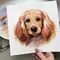 Photo by Watercolor inspiration on February 04, 2021. May be art of dog.