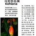 花脸苣苔属 - 小红书