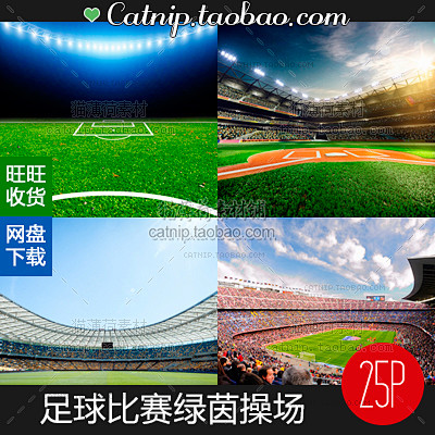 [gq54]25张世界杯足球比赛绿茵草地...