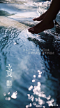 立夏节气地产单图