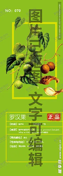 罗汉果 【酷图网】拉汗果,假苦瓜,光果木鳖,金不换,罗汉表,裸龟巴,手绘,插画,线描,白描,国画,素描,包装设计元素,设计元素,插图,插画手稿,中药名插画,中药手绘,野生,高山,药丸,文化艺术,绘画书法,平面