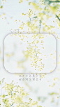 花语
