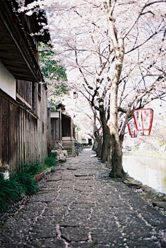 苹果★★采集到感觉