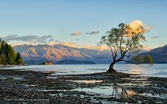 英国森林采集到lake5