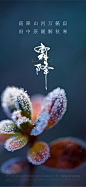 霜降海报-志设网-zs9.com
