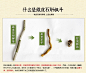 凰朝 浙江乐清铁皮石斛枫斗 正宗铁皮风斗鲜条加工 胶质浓厚 30克-tmall.com天猫
