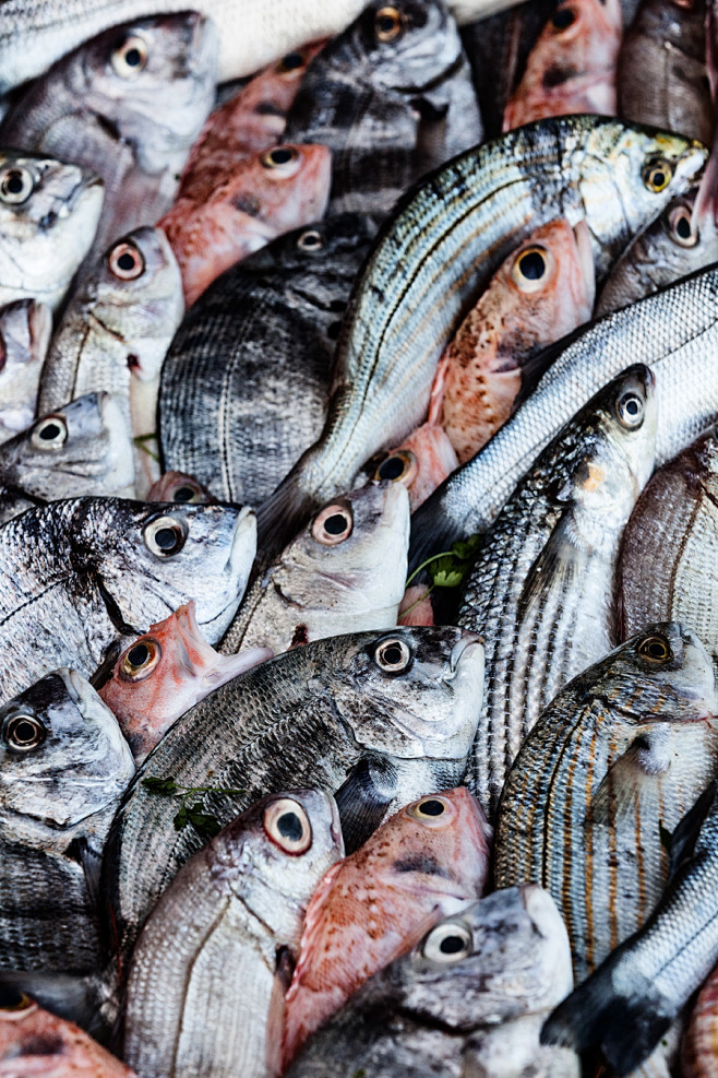 Essaouira Harbour : ...