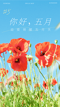 XSiYu采集到公众号
