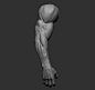 Male arm poses