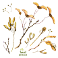 创意秋天落叶草本植物花卉化妆品包装JPG图片设计格式素材 (5)
