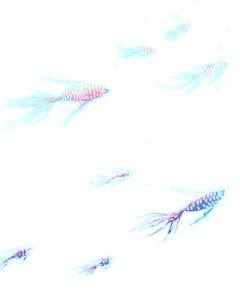 暗小月采集到素材PNG-数字、优惠券（页面使用）等