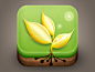 wheat knowledge icon