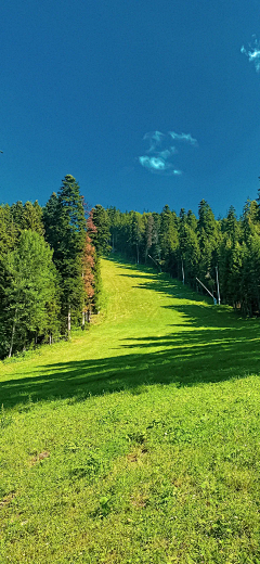 爱剥皮的橘子采集到c4d参考--风景