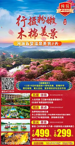 河源五星温泉美食旅游海报-源文件-志设网-zs9.com