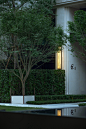 112951629207736_.pic_hd