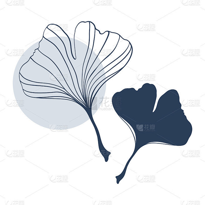 矢量插图的银杏叶