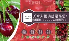 水果名片  - 源文件下载【酷图网】名片,樱桃名片,采摘名片,樱桃园名片,名片设计,采摘樱桃,樱桃,水果名片,樱桃名片设计,简约名片,植物名片,水果,车厘子名片,广告设计,樱桃广告