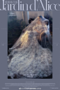 @77VISION婚纱摄影工作室 的个人主页 - 微博