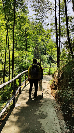 斑马手帖采集到A-天柱山大峡谷