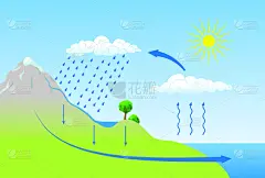 矢量架构的水循环的性质