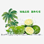 诱人的青柠檬免抠png素材_新图网ixintu.com