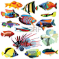 Peces de colores peces diseño de bajo poli-set aislado en blanco. Lucha contra los peces, barbero, peces ángel, peces arco iris, Guppy, Pez león, Osphronemidae, Ram, Ballesta, Killifish, pez dorado, neón tetra, cichlid, tilapia, Coralfish