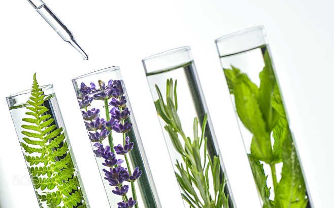 Laboratory, Fern, la...