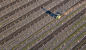 【知识星球：地产重案】Project #27 Farmland v.2 : Series of images taken while flying over the Central Valley in California. These images were taken in the morning light around Bakersfield. 