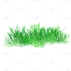 用户eYobWzKT采集到动物园邀请函参考