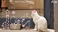 恶搞喵星人 可爱猫咪壁纸