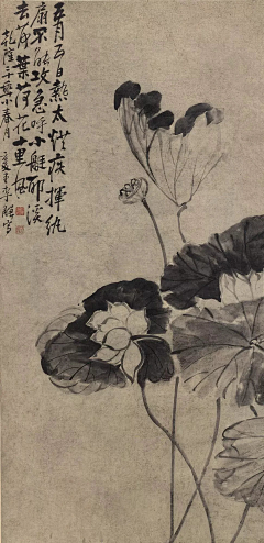 德柱罩得住采集到G-国画书法