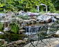 Outdoor Living with Water Gardens