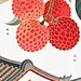 日啖荔枝三百颗，不辞长作岭南人 - 小红书