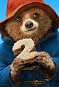 2017英国《帕丁顿熊2 Paddington 2》预告海报 #03