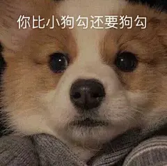  『阿猫阿狗沙雕表情包』



图源网络 可补充至评论区
素质取图！！！
