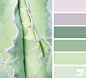 Succulent Hues | Design Seeds : { succulent hues } | image via: @rotblaugelb