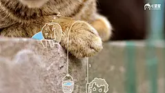 恶搞喵星人 可爱猫咪壁纸