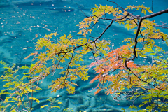 湖非水采集到风景