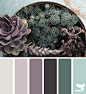 { succulent hues } image via: @mysuburbanfarm