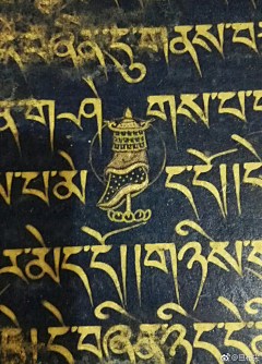 Holia采集到面